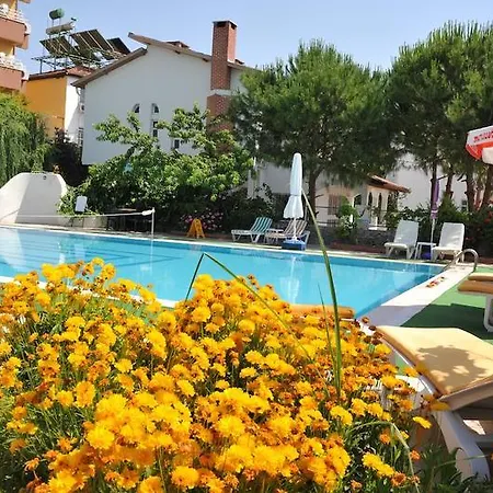 Alibabam & 2* Kusadası